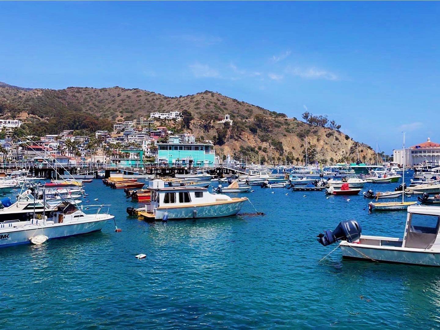 Catalina Island, California