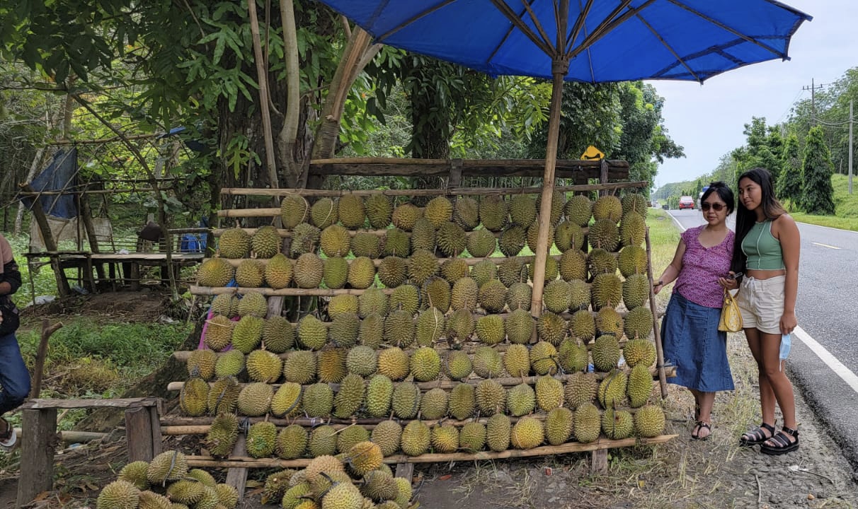Fruit