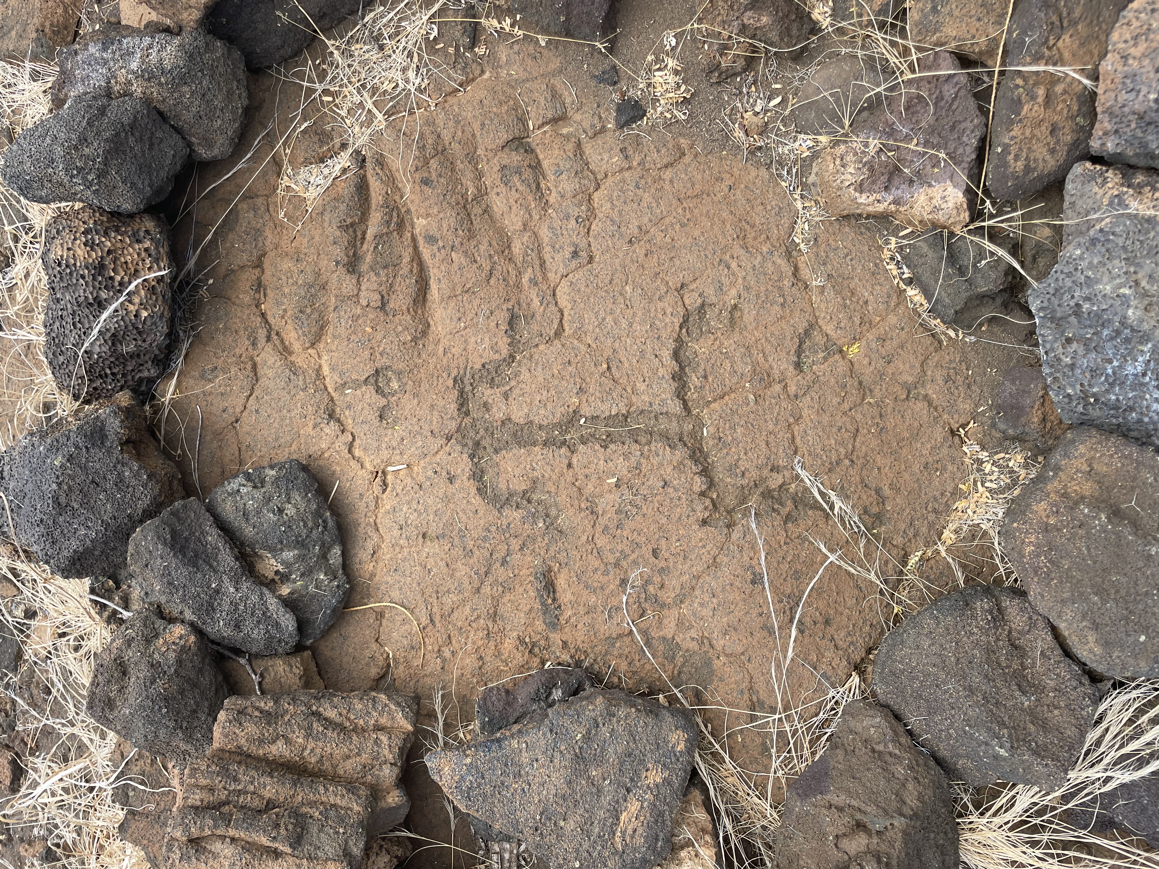Kona heiroglyphic