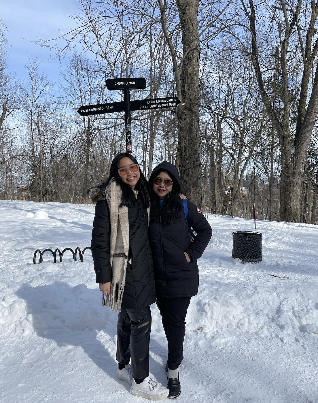 Montreal Snow