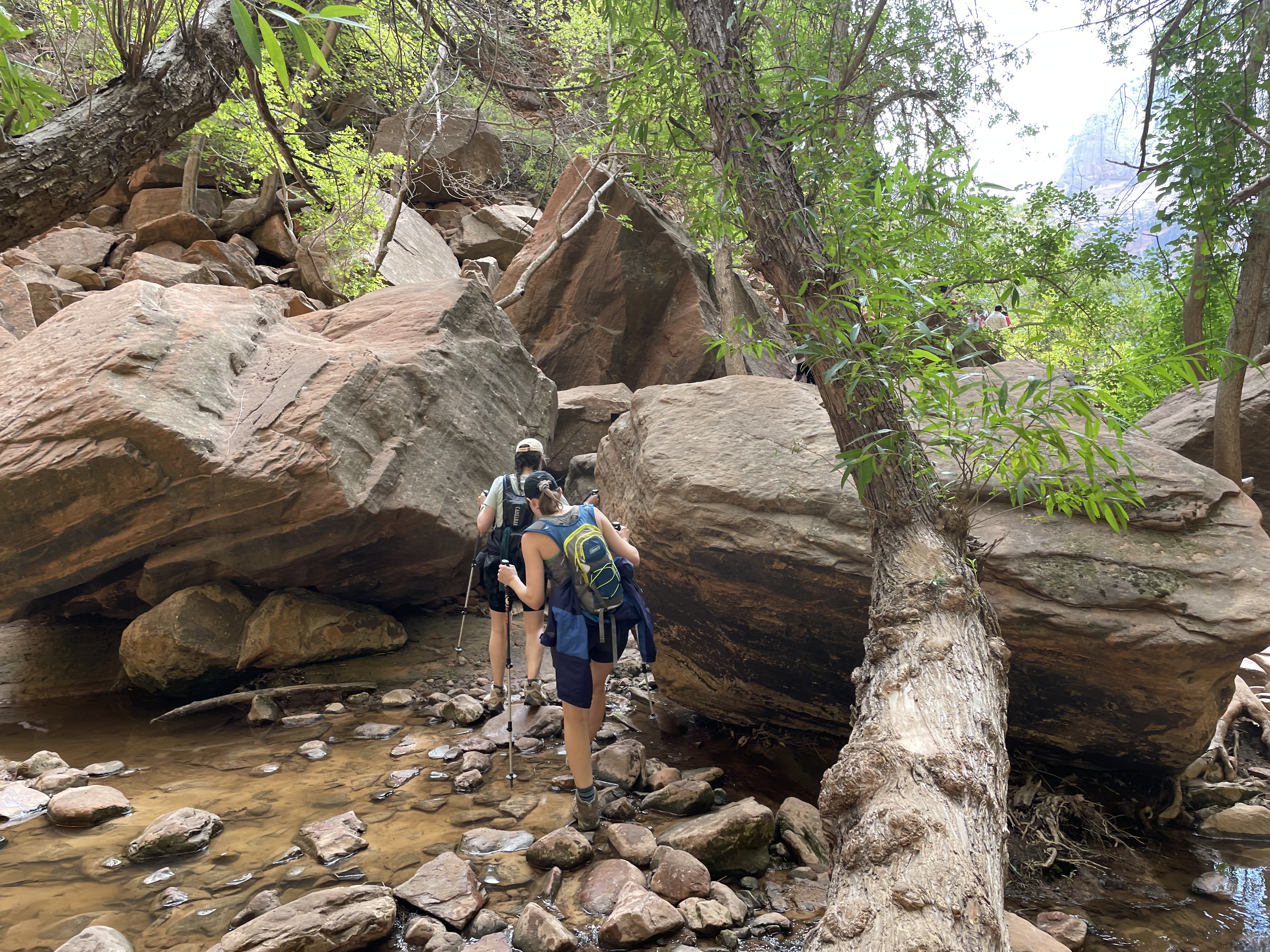 Trail of Zion