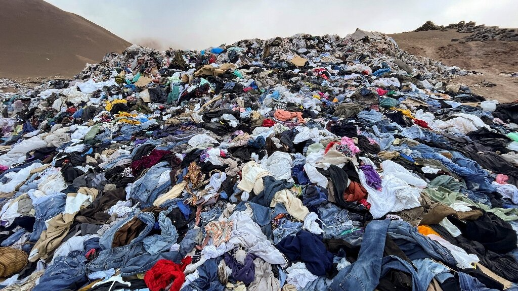 Picture of Discarded Fast Fashion